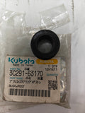 3C291-63170 BUSH, POST.